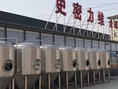 兰陵精酿啤酒设备厂—如何判断精酿啤酒设备的密封件需要更换？